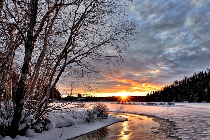Winter Wonderland